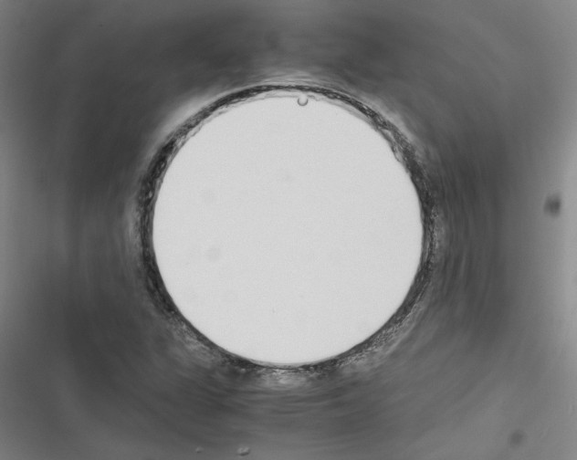 X0000116461311201001201252