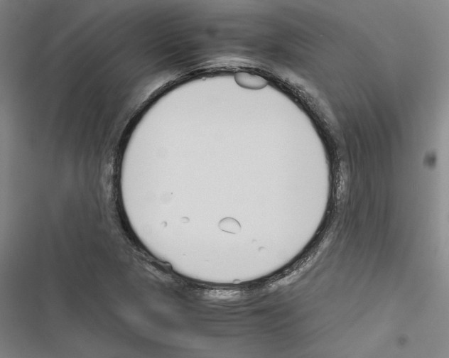 X0000116461313201001201252