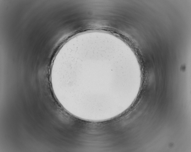 X0000116461314201001201252