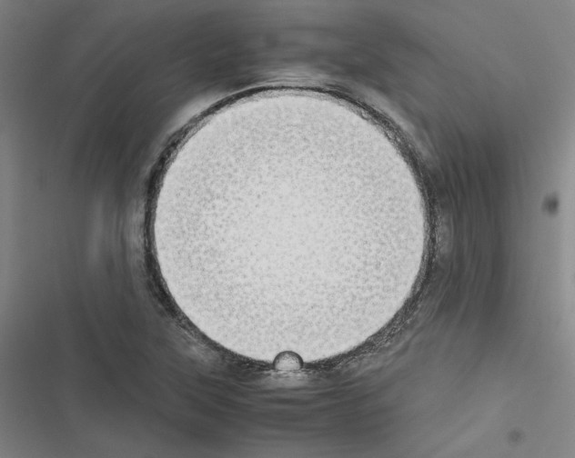 X0000116461315201001201252