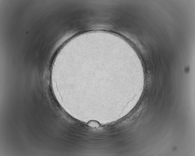 X0000116461317201001201252