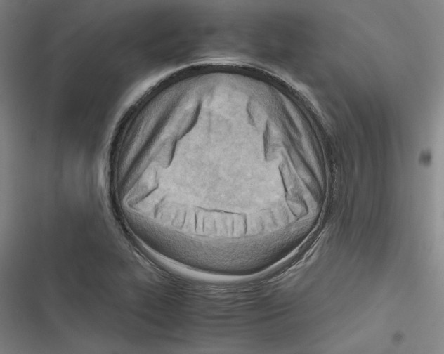 X0000116461319201001201252