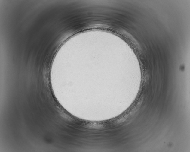 X0000116461321201001201252