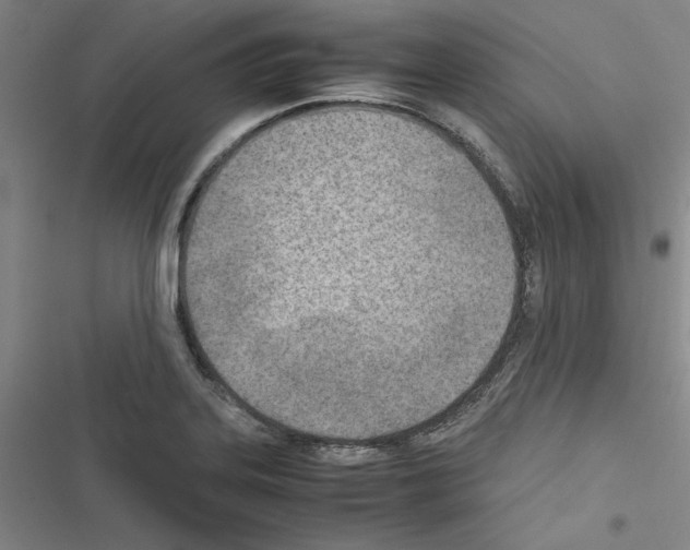 X0000116461323201001201252