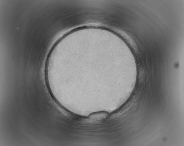 X0000116461327201001201252