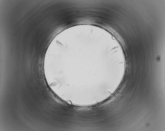 X0000116461337201001201252
