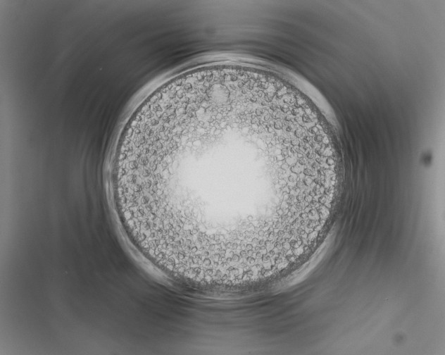 X0000116461338201001201252