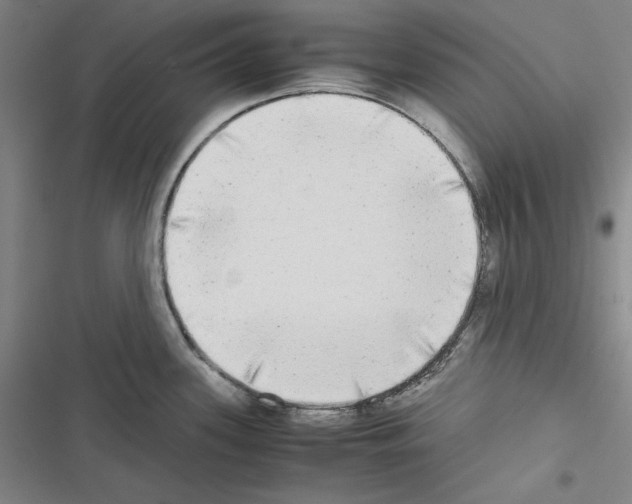X0000116461339201001201252