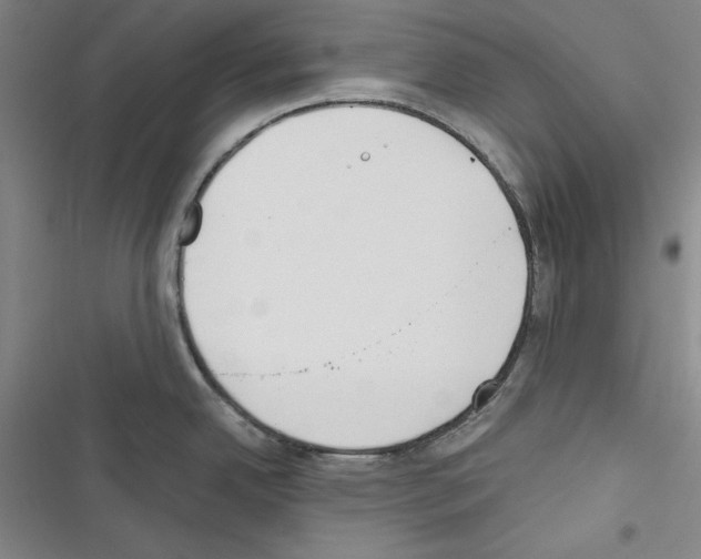 X0000116461342201001201252