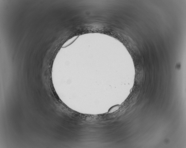X0000116461345201001201252