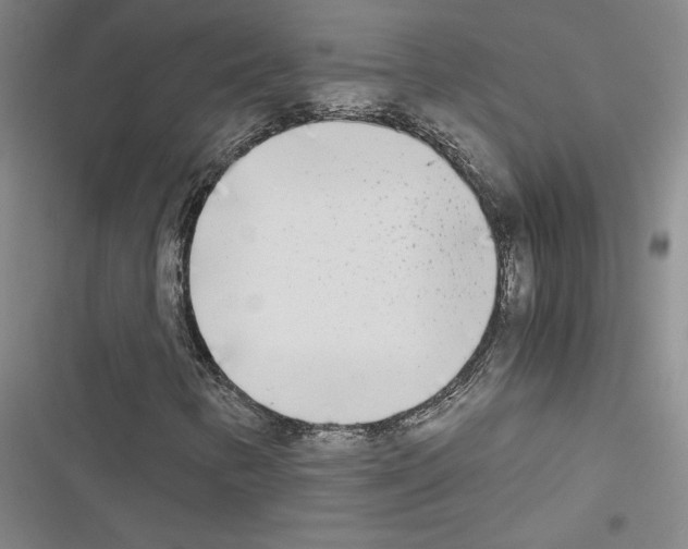 X0000116461346201001201252