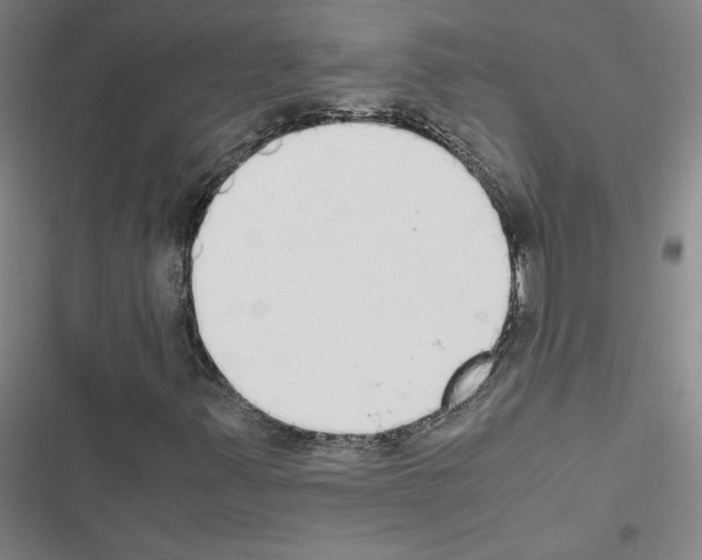 X0000116461347201001201251