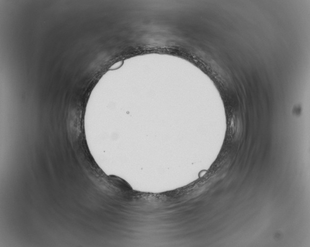 X0000116461348201001201251