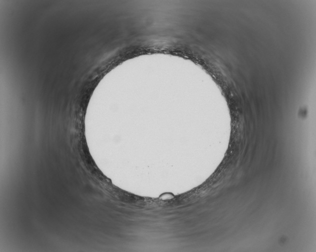 X0000116461349201001201251