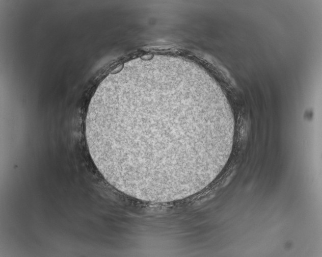 X0000116461350201001201251