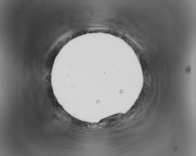 X0000116461351201001201251