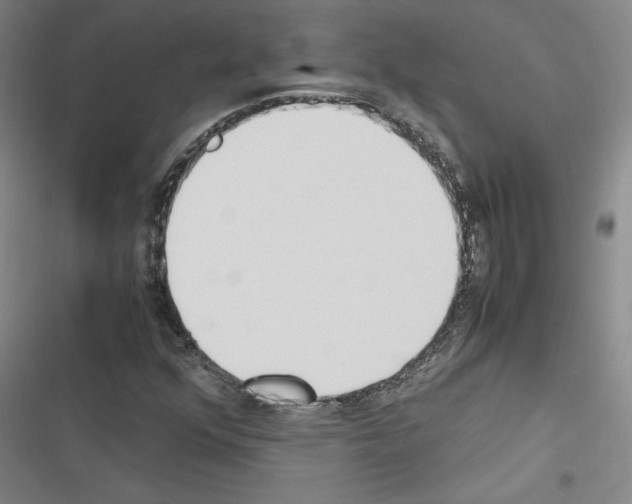 X0000116461352201001201251