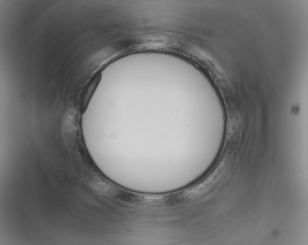 X0000116461353201001201251