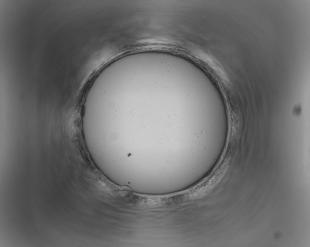 X0000116461357201001201251
