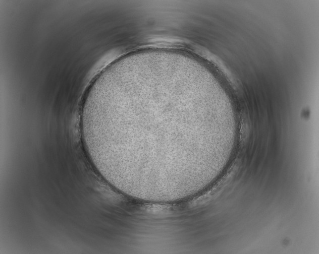 X0000116461362201001201251