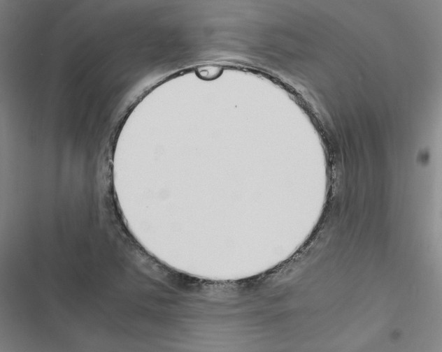 X0000116461363201001201251