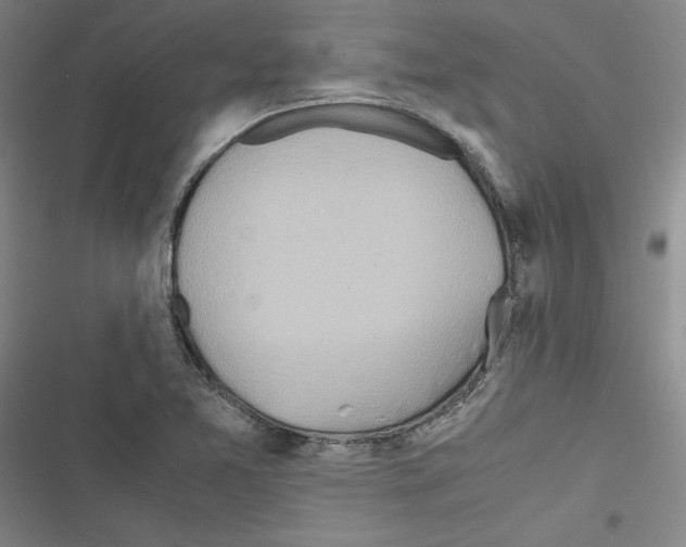 X0000116461365201001201251