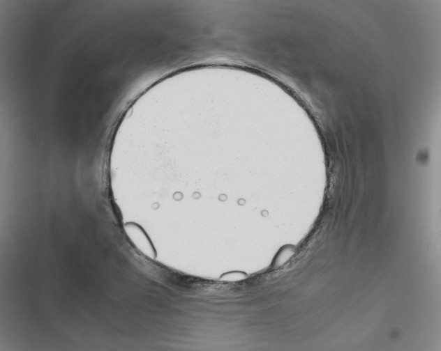 X0000116461367201001201251