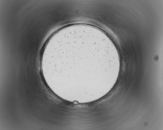 X0000116461368201001201251