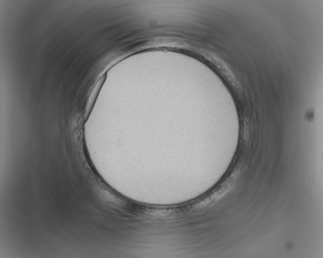 X0000116461369201001201251