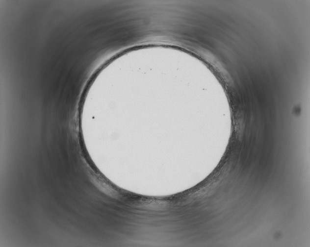X0000116461372201001201251