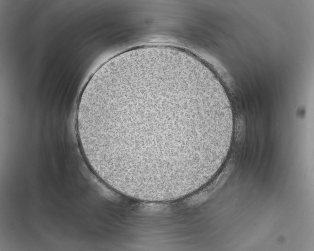 X0000116461374201001201251
