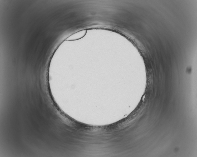 X0000116461375201001201251