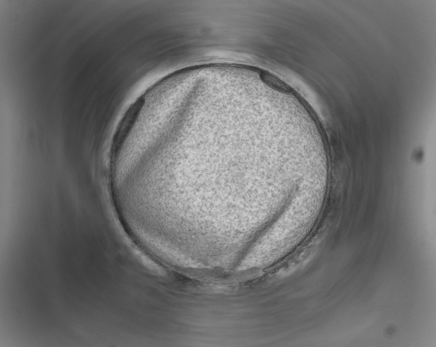 X0000116461381201001201251