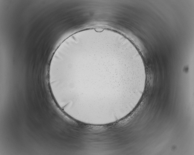 X0000116461382201001201251