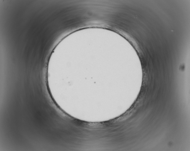 X0000116461383201001201251