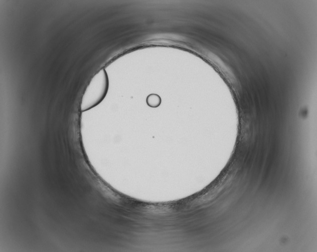 X0000116461384201001201251