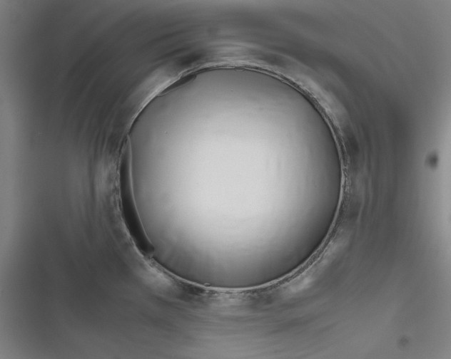X0000116461385201001201251