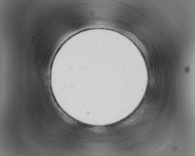 X0000116461388201001201251