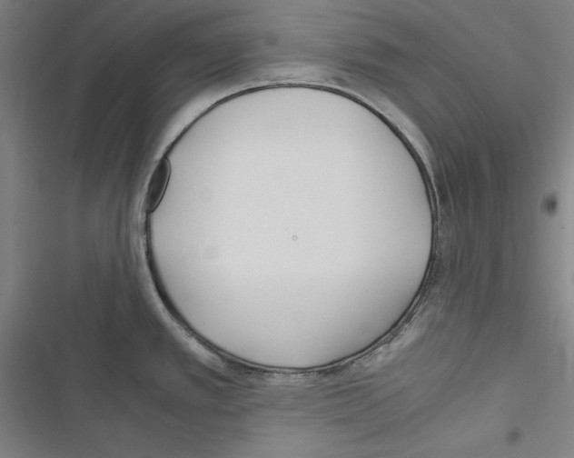 X0000116461389201001201251