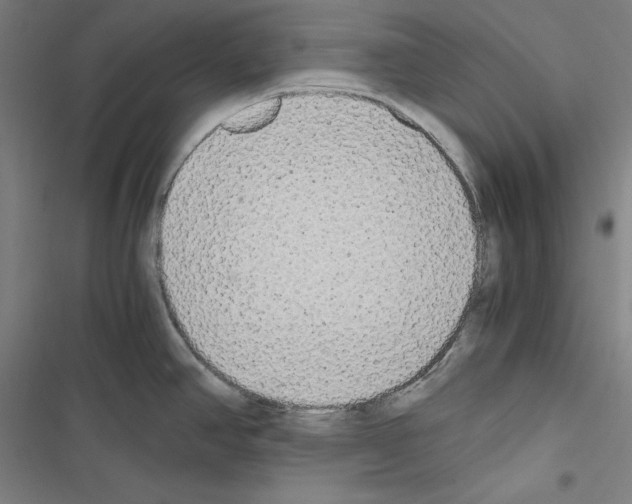 X0000116461390201001201251