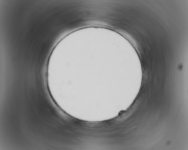 X0000116461391201001201251
