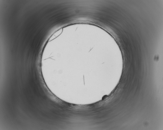 X0000116461392201001201251