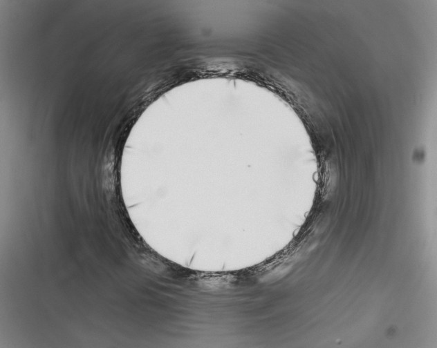 X0000116461394201001201250