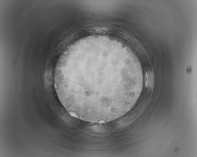 X0000116461395201001201250
