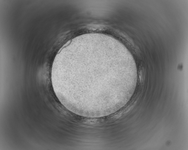 X0000116461396201001201250