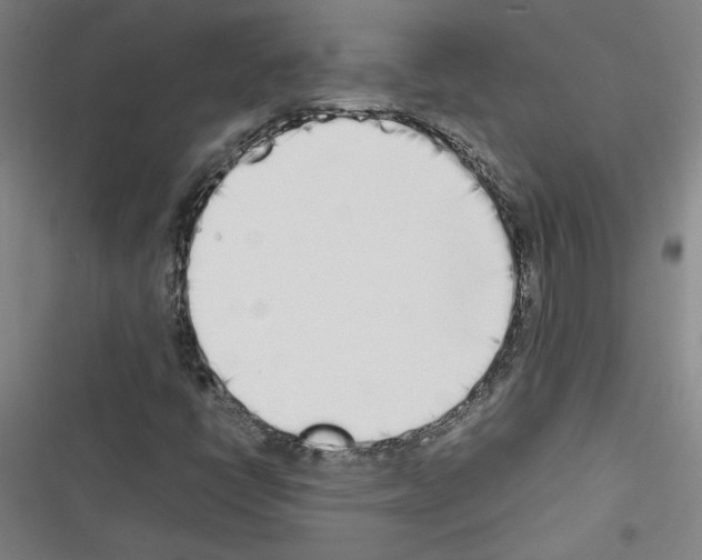 X0000116461398201001201250