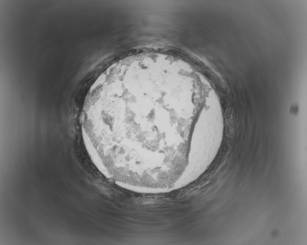 X0000116461399201001201250