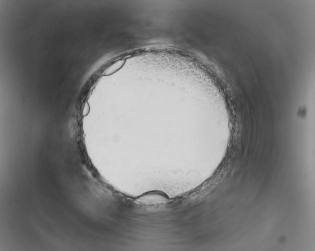 X0000116461400201001201250