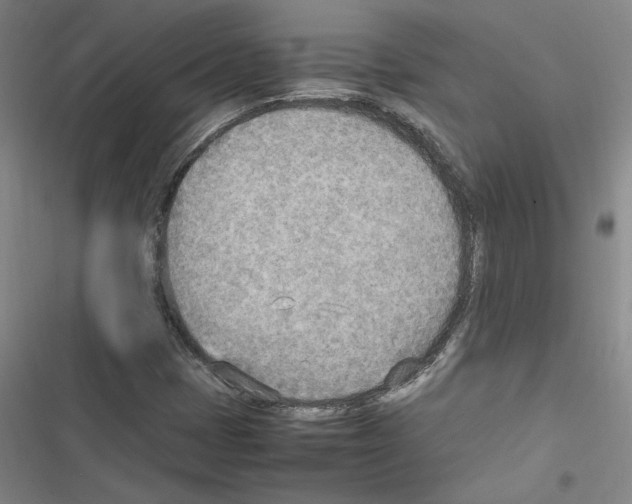 X0000116461401201001201250