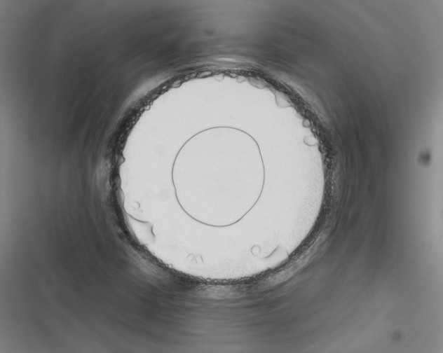 X0000116461402201001201250